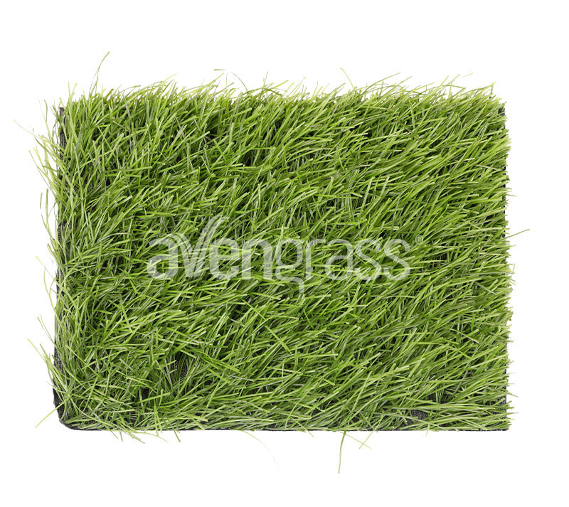 césped artificial powergrass - 2